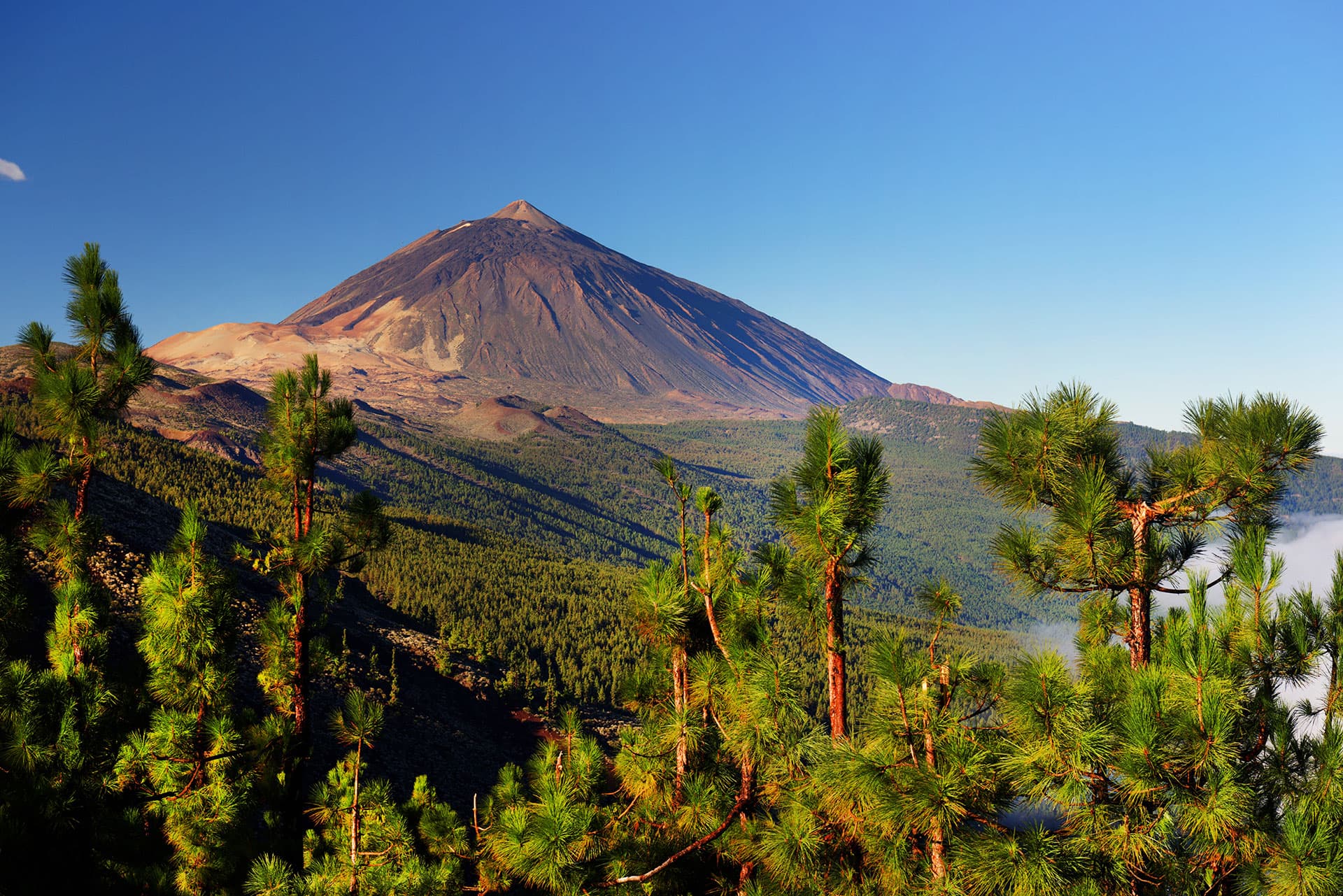Parque Nacional del Teide